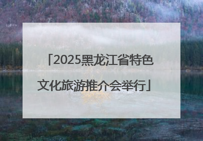 2025黑龙江省特色文化旅游推介会举行