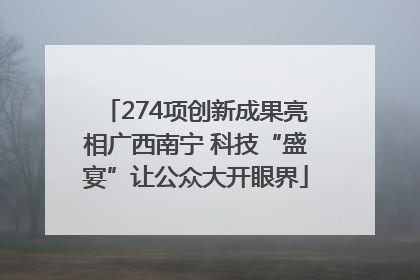 274项创新成果亮相广西南宁 科技“盛宴”让公众大开眼界