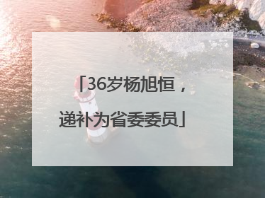 36岁杨旭恒，递补为省委委员