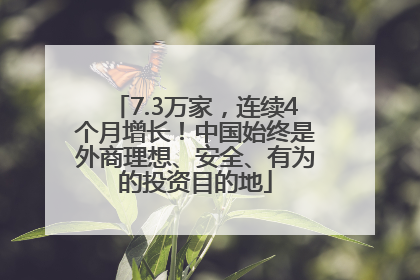 7.3万家，连续4个月增长！中国始终是外商理想、安全、有为的投资目的地