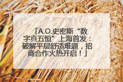 A.O.史密斯“数字真五恒”上海首发：破解平层舒适难题，招商合作火热开启！