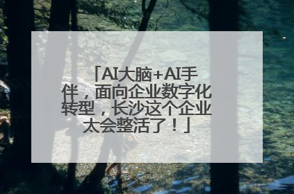 AI大脑+AI手伴，面向企业数字化转型，长沙这个企业太会整活了！