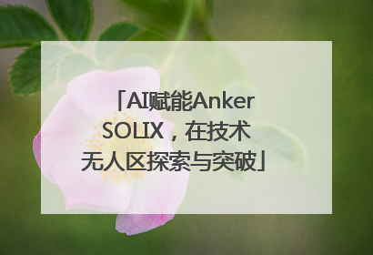 AI赋能Anker SOLIX，在技术无人区探索与突破