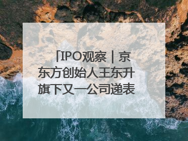 IPO观察｜京东方创始人王东升旗下又一公司递表，3年亏损近50亿元，近8成收入来自同一客户